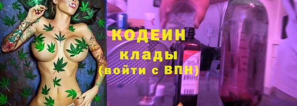 индика Абаза