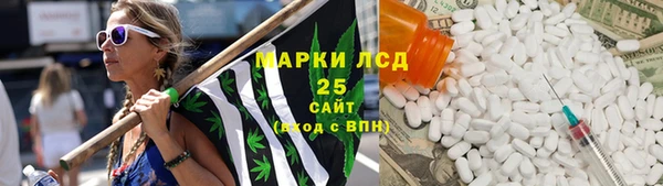 индика Абаза