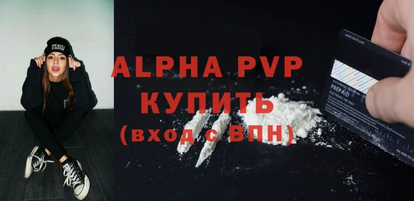 индика Абаза