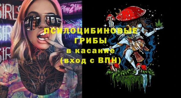 индика Абаза