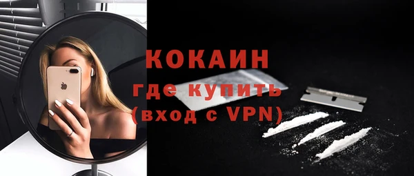 индика Абаза