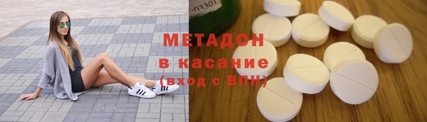 прущие грибы Алзамай