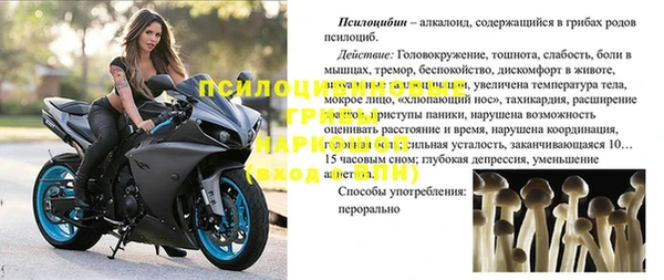 эйфоретик Алексеевка