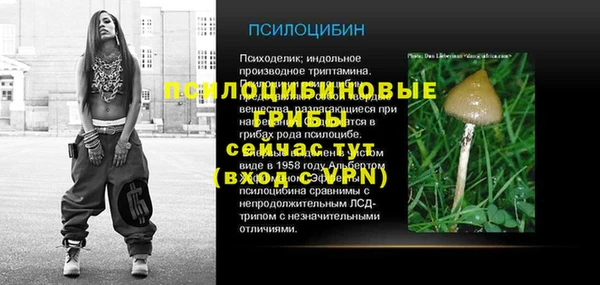 индика Абаза