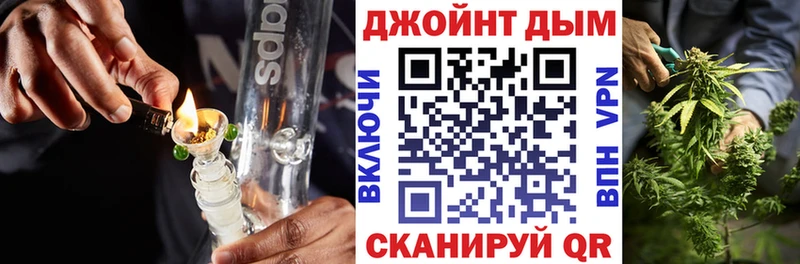 KRAKEN ТОР  Сясьстрой  Конопля план 